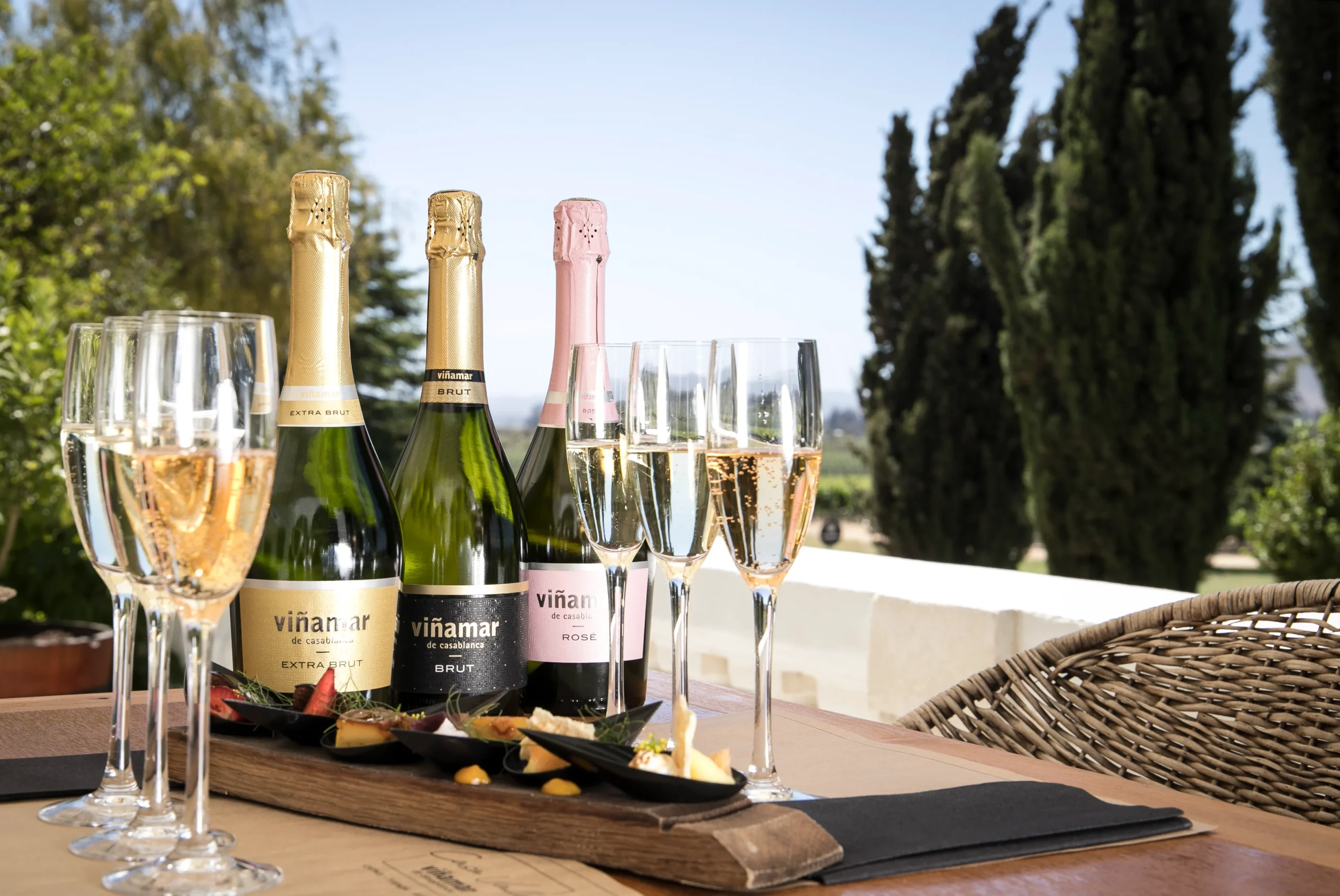 DÍA COMPLETO CASABLANCA - VALPARAISO - Imagen 5