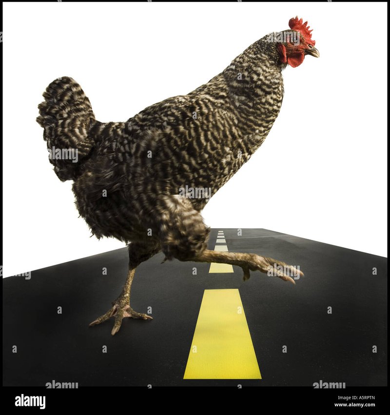 Netherlands - chicken road